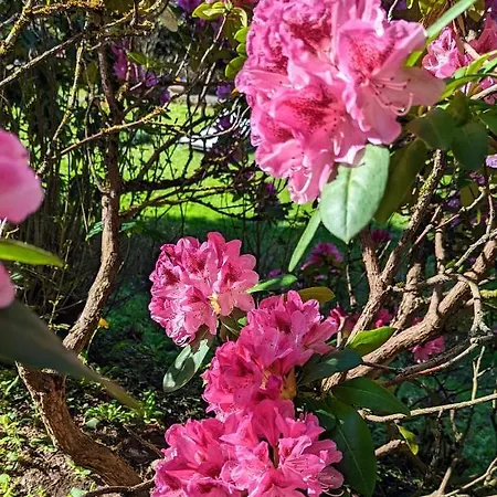 Alojamento de Acomodação e Pequeno-almoço Un Jardin Secret Yzeron
