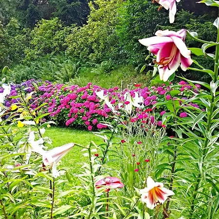 Un Jardin Secret 3* Yzeron