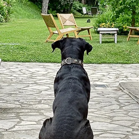 Alojamento de Acomodação e Pequeno-almoço Un Jardin Secret Yzeron