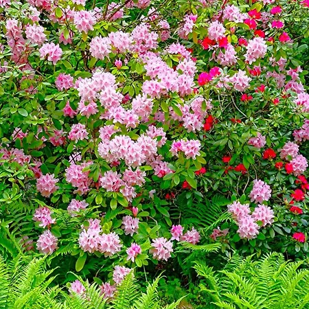 Un Jardin Secret Alojamento de Acomodação e Pequeno-almoço